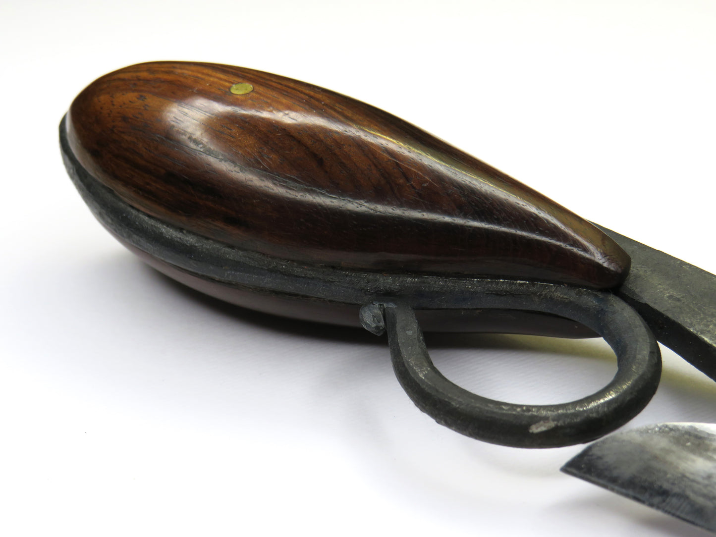 Coltello a lama fissa Vermicellus by Citadel